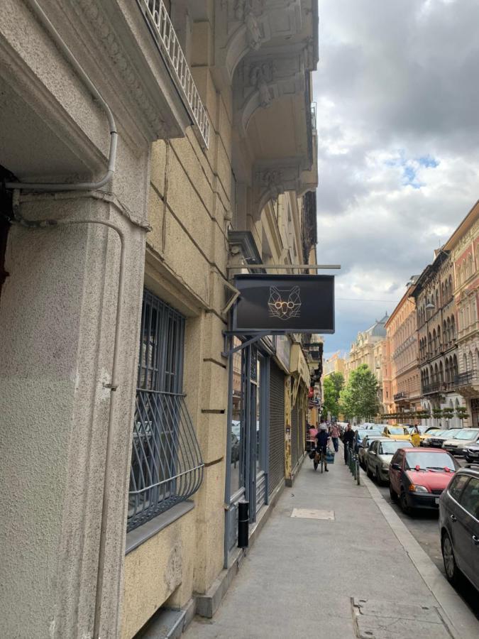 Cool Cat Budapest Apartment מראה חיצוני תמונה
